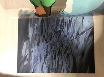 Amazon.co.jp: 装甲騎兵ボトムズ フィアナ セル画 背景あり 背景